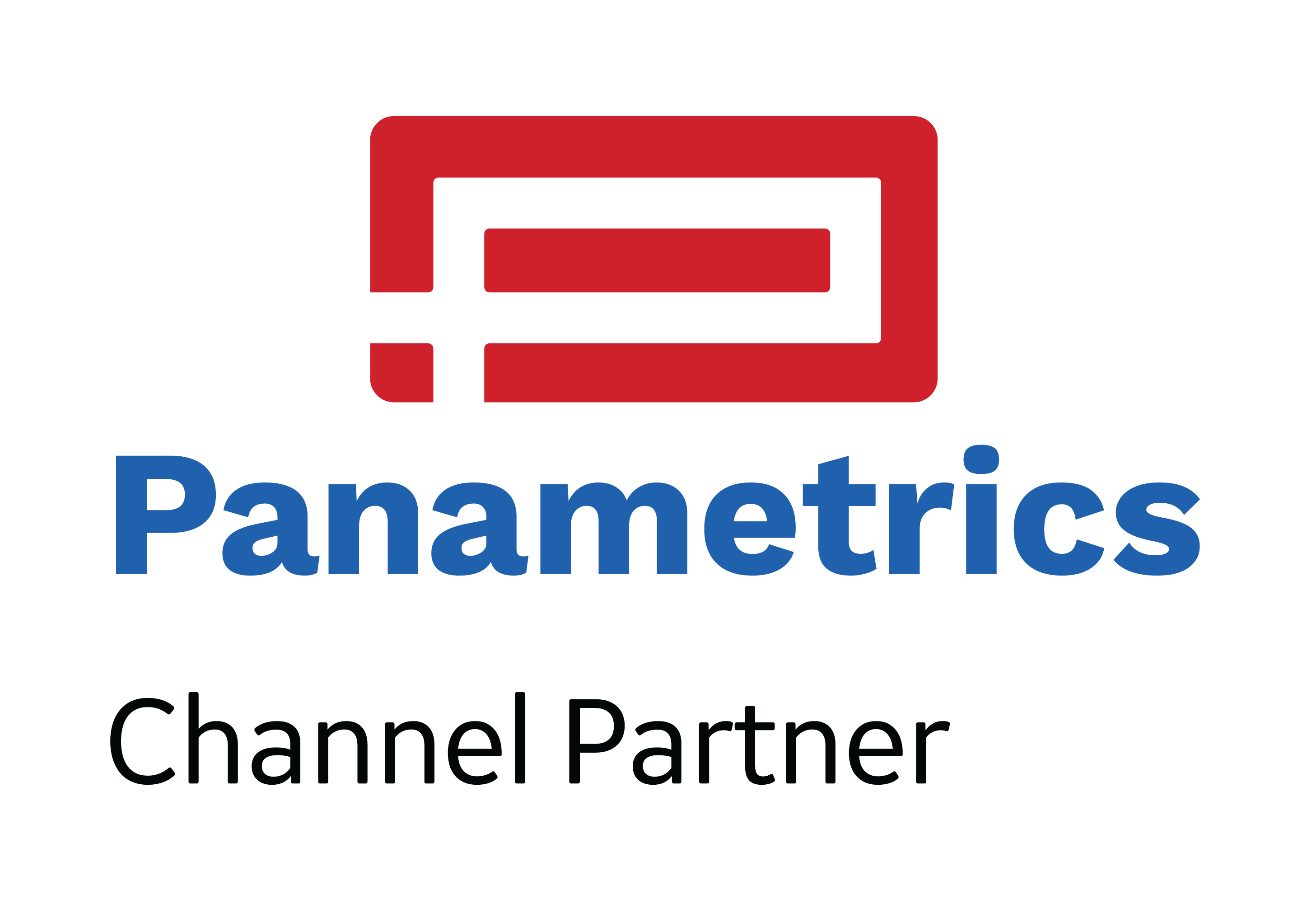 Panametrics Logo